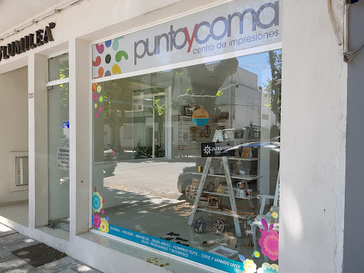 Punto y Coma
