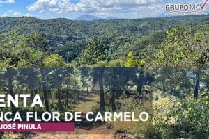 Flor Ventas Carmelo