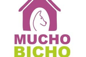 Bichitos Tacuarembó