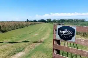 El Repecho
