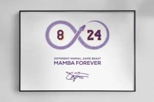 Mamba Infinity