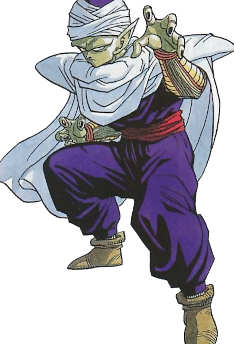 piccolo 1