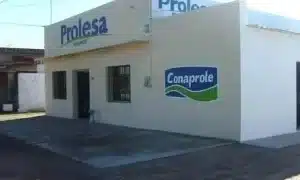 Prolesa Villa Rodríguez 2 Prolesa Villa Rodríguez