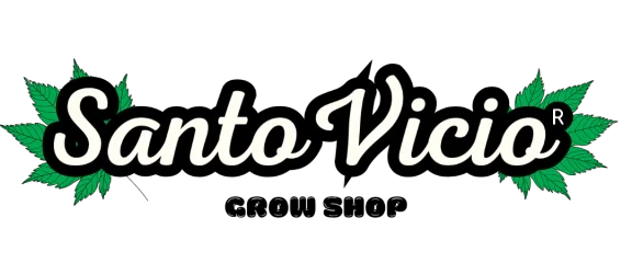 santo vicio