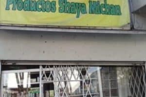 Shaya Tienda