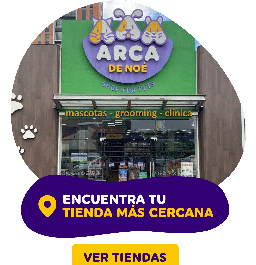 tienda noe