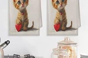 Trapos Locos tienda de diseño