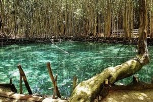 Zona Natural Progreso